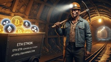 bay-miner-launches-mobile-cloud-mining-app,-leading-a-new-trend-in-digital-wealth